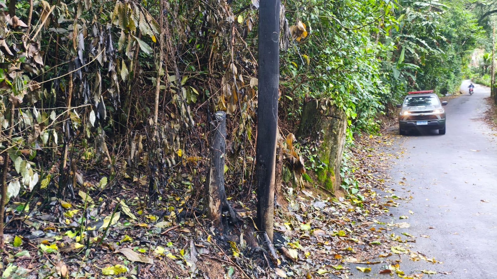 2º Batalhão de Polícia Ambiental identifica vestígios de queimada e desmatamento em Angra dos Reis após denúncia feita ao Linha Verde